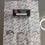 Segmentos Peugeot 204 / 304 / 305